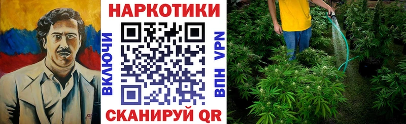 Названия наркотиков Дрезна Альфа ПВП  Гашиш  Амфетамин  Бошки Шишки 