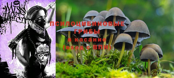 альфа пвп Магас