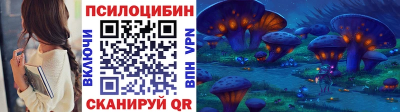 где можно купить наркотик  Дрезна  Галлюциногенные грибы Psilocybe 